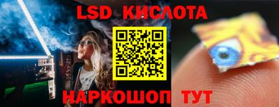 прущие грибы Заволжье